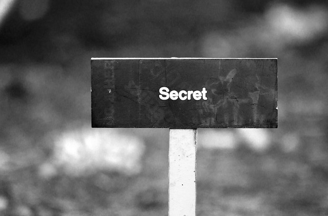 Patents and/or secrets? Questioning the best mode disclosure requirement